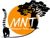 Logo Nirina Tours